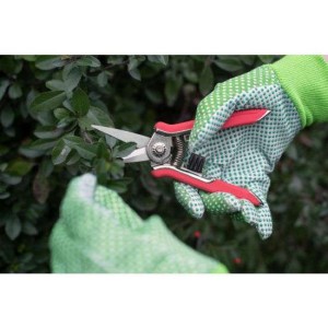 Bloemenschaar spits mini
