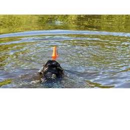 Dog Comets Bobber Groen