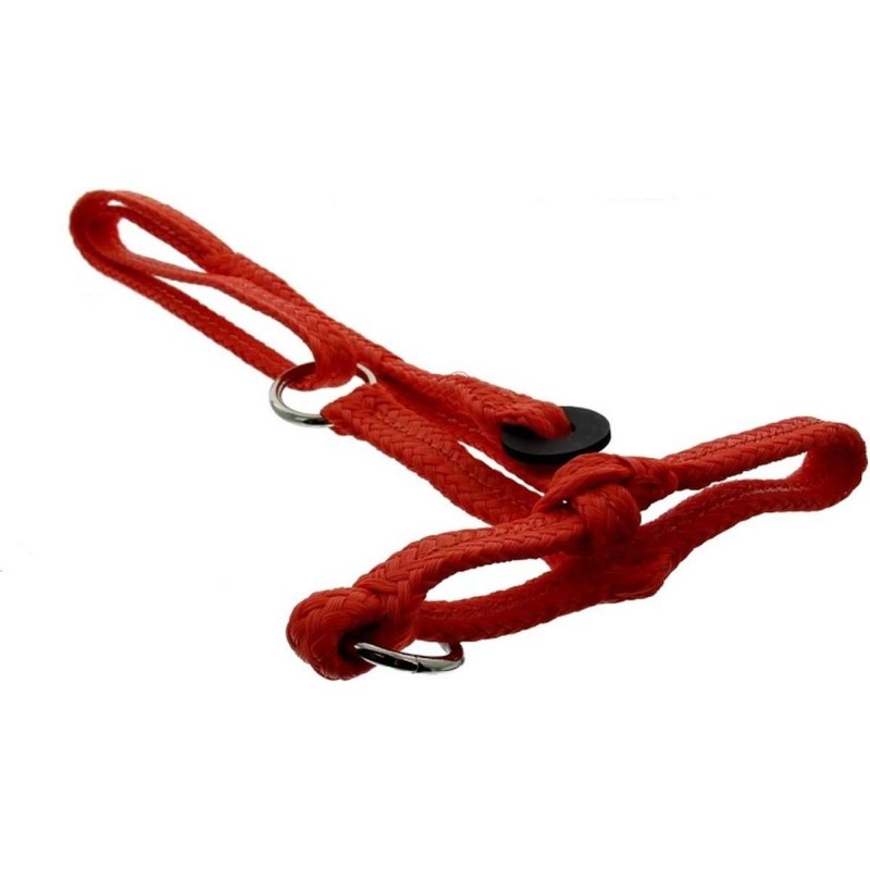 Halster koe nylon oranje