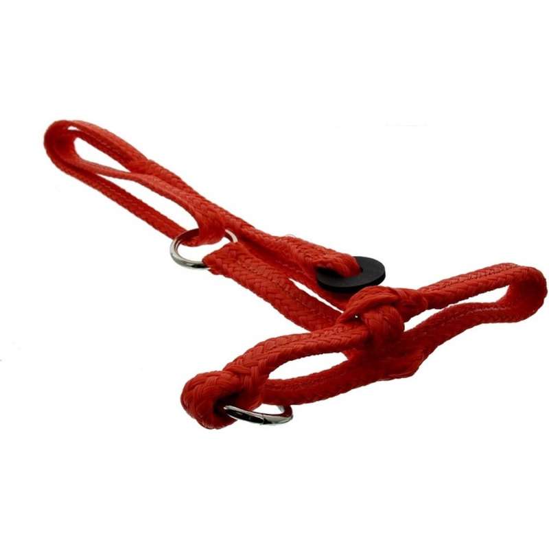 Halster koe nylon oranje