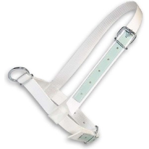 Halster show koe wit met leer 40mm