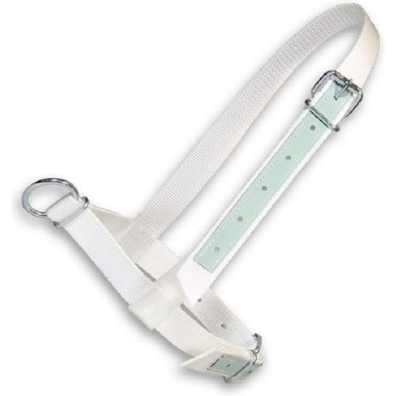 Halster show koe wit met leer 40mm