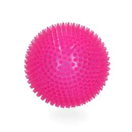 Hondenspeeltje Dog Comets Exoplanet Egelbal L Roze