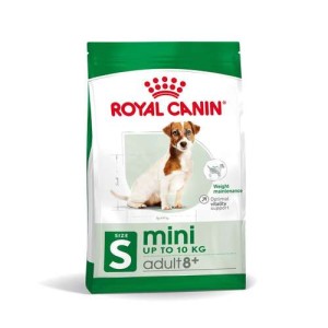RC mini adult 8+ 2kg