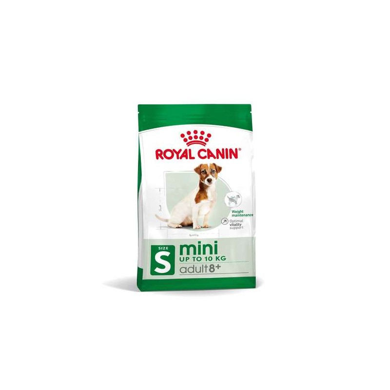 RC mini adult 8+ 2kg