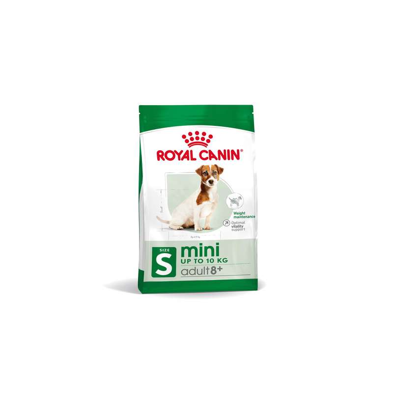 RC mini adult 8+ 2kg