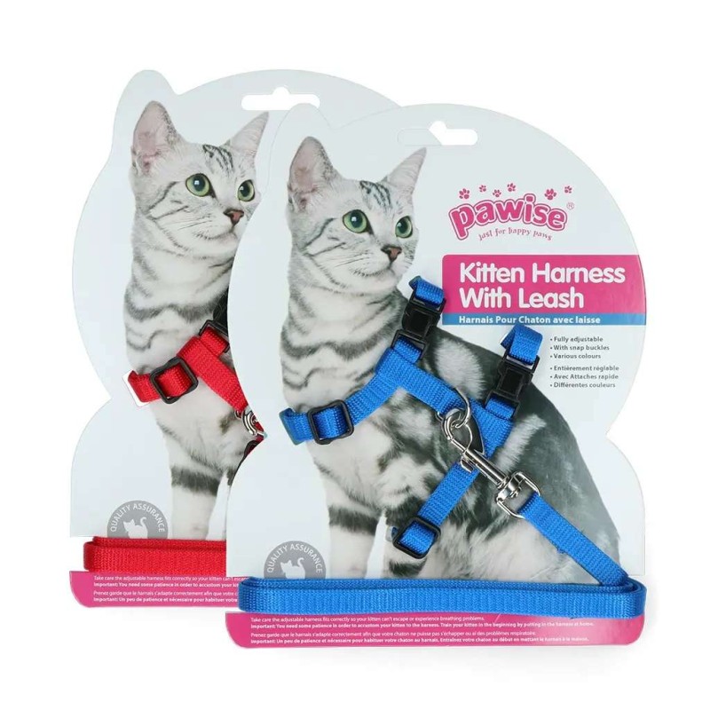 Pawise kitten tuigje met riem rood/blauw S
