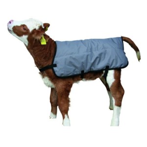 Kalverdek bodywarmer grijs 70cm
