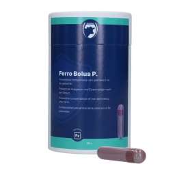 Excellent Ferro Bolus P 24...