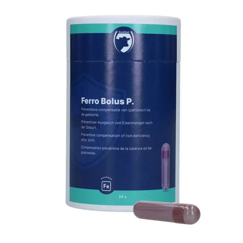 Excellent Ferro Bolus P 24 stuks