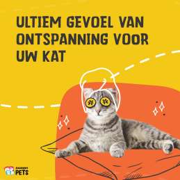 Excellent Pets Catnip Spray 50 ml