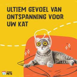 Excellent Pets Catnip Spray 150 ml