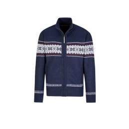 Bjørnson scandinavisch...