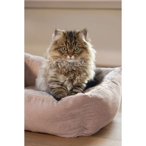 Beeztees Kattenmand Moza pluche roze 48X37X15 cm