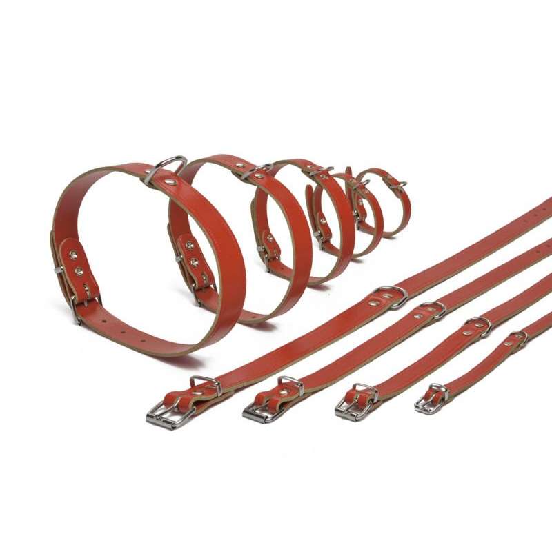 Beeztees hondenhalsband leer rood 27 cm x 10 mm