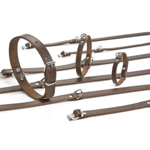 Beeztees hondenhalsband leer bruin 52 cm x 20 mm