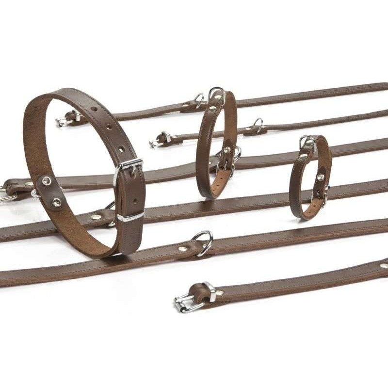 Beeztees hondenhalsband leer bruin 52 cm x 20 mm
