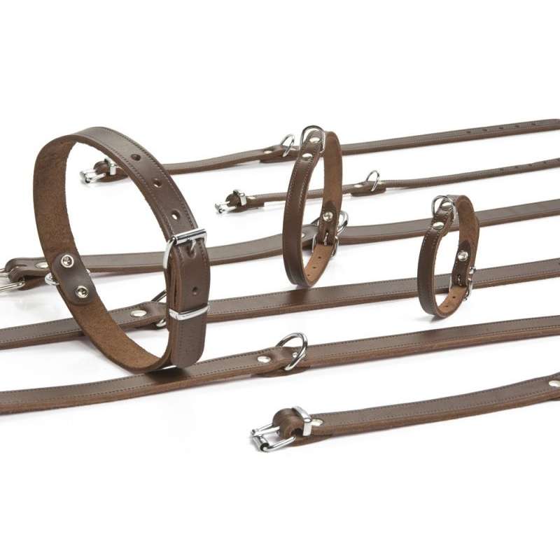 Beeztees hondenhalsband leer bruin 62 cm x 25 mm