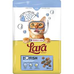 Lara Kattenbrokken Adult...