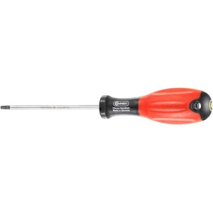 Schroevendraaier Torx TX10 Connex