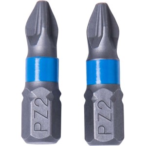 Schroefbit Pozidriv PZ2 2 stuks