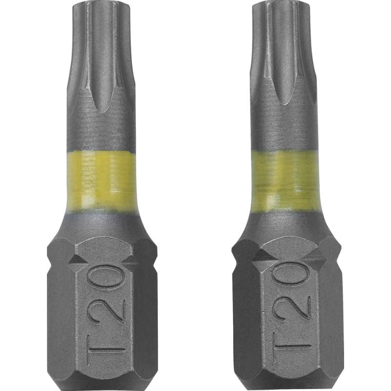 Schroefbit Torx T20 2 stuks