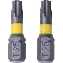 Schroefbit Torx T25 2 stuks