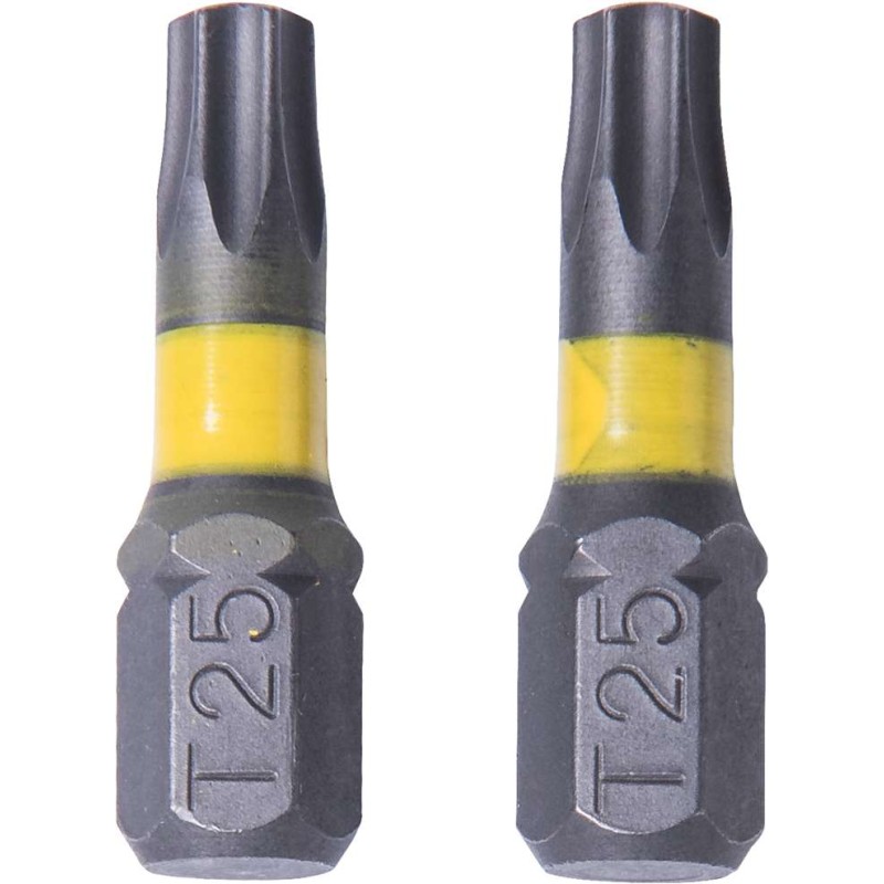 Schroefbit Torx T25 2 stuks