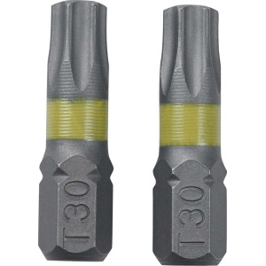 Schroefbit Torx T30 2 stuks