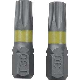 Schroefbit Torx T30 2 stuks