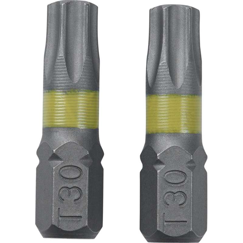 Schroefbit Torx T30 2 stuks