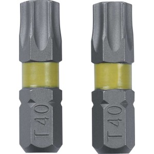 Schroefbit Torx T40 2 stuks