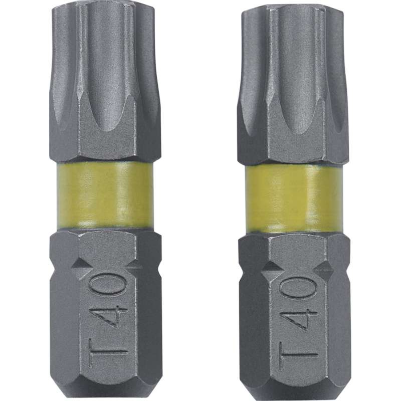 Schroefbit Torx T40 2 stuks