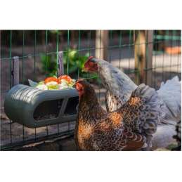 Kippen voerbak plastic...