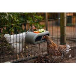 Kippen voerbak plastic grijs 30x14x13 cm