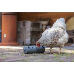 Kippen snackroller 22,5x6,5x6,5 cm