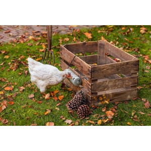 Kippen snackroller 22,5x6,5x6,5 cm