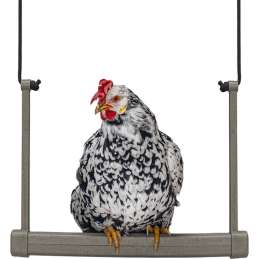 Kippenschommel grijs...