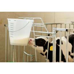 Kalveremmer wit transparant plat