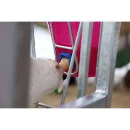 Kalveremmer roze transparant plat