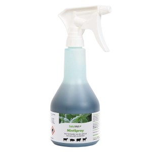 MintSpray 500ml