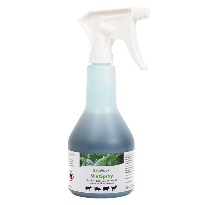 MintSpray 500ml