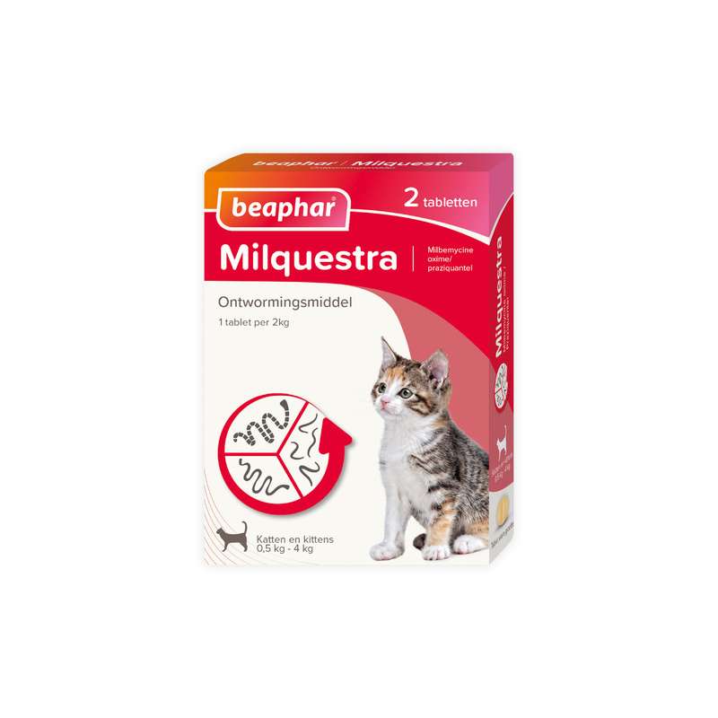 Milquestra kitten/kleine kat 2 tabletten Rund