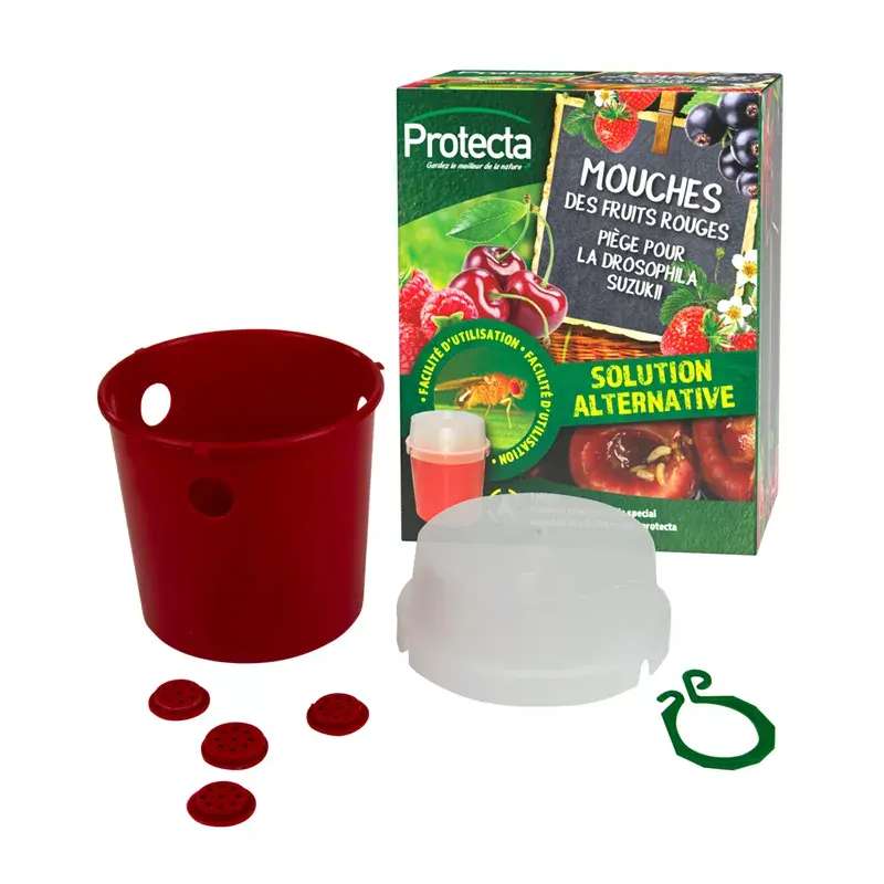 Aziatische fruitvliegval met lokstof