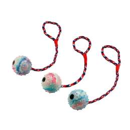 Honden speelbal aan koord...