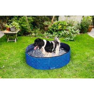 Hondenzwembad doggy dip blauw 80 x 80 x 20 cm