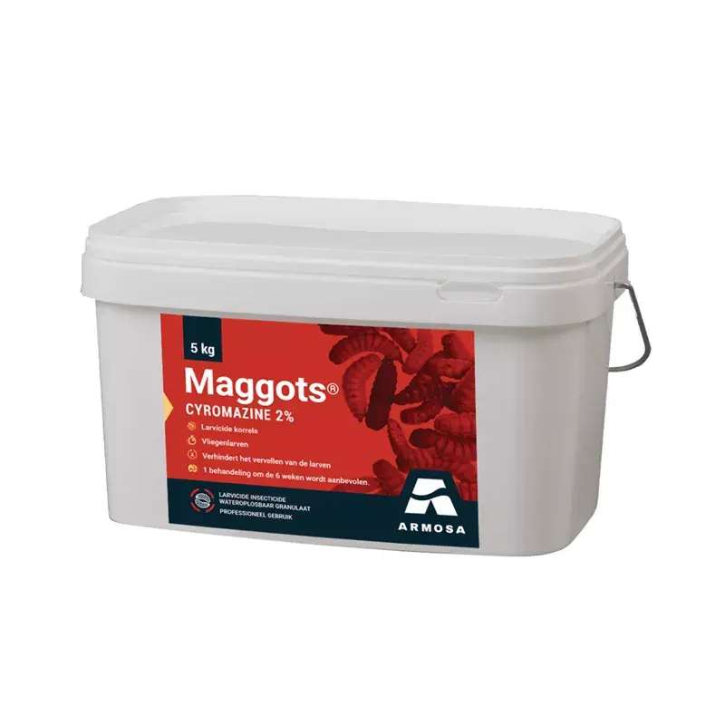 Maggots 5kg