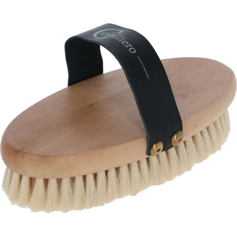 Paardenborstel met houten rug