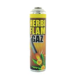 Herbigaz gasbus voor...