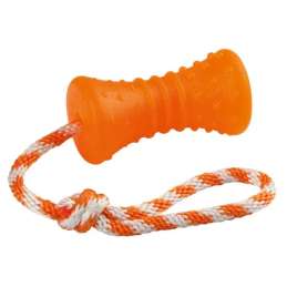 Hondenspeeltje ToyFastic...